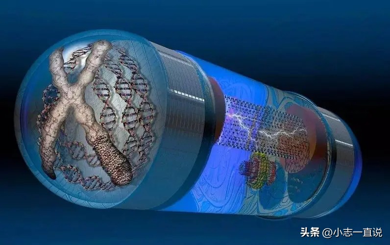 纳米技术生活应用_纳米技术日常生活应用_应用纳米技术的生活用品