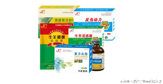 牛羊疱疹痘疹病毒病综合症_羊痘病的治疗_牛羊疱疹痘疹疾病治疗方案