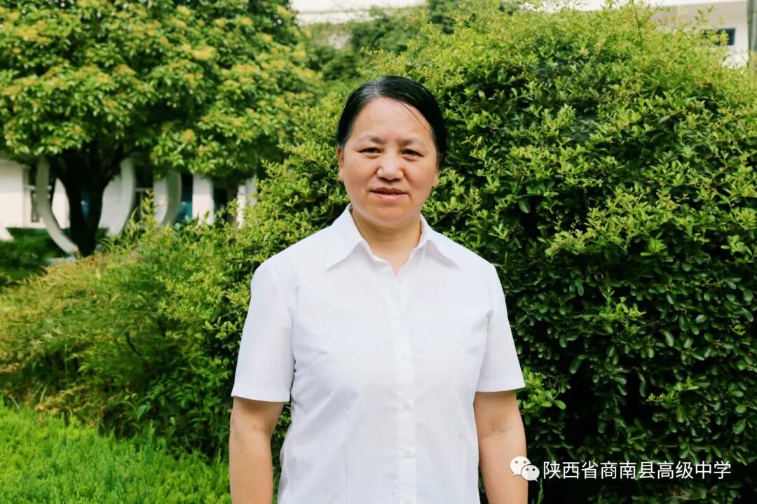 商南县教学能手_商南县高级中学教师_商洛市优秀教师