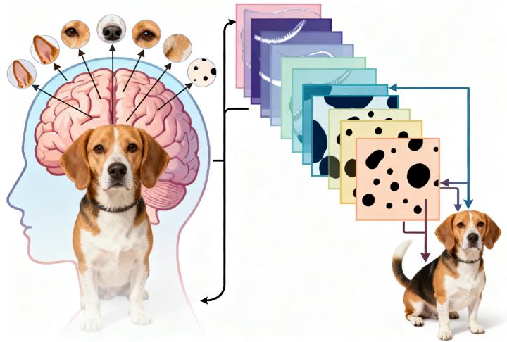 卷积神经网络结构详解_图像识别技术原理_卷积在生活应用