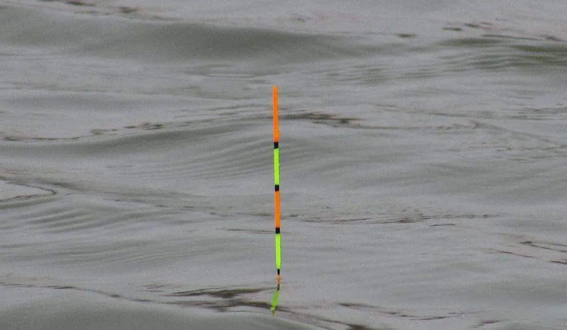 野钓鲫鱼调漂法_用红虫钓鱼怎么调漂_鲫鱼吃饵信号解读