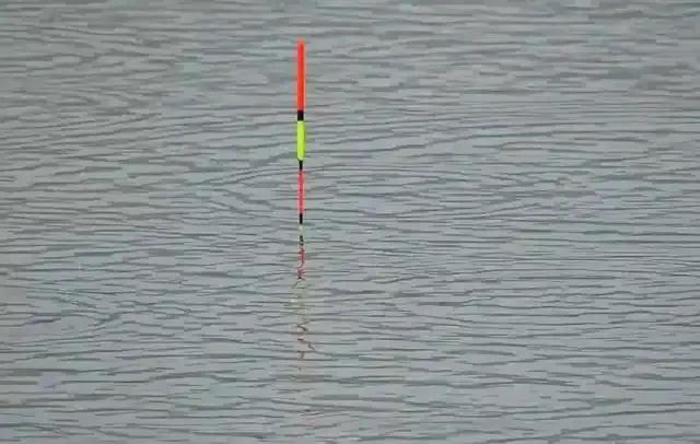 野钓鲫鱼调漂法_鲫鱼吃饵信号解读_用红虫钓鱼怎么调漂