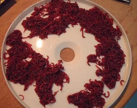 传统钓红虫搭摇三摇_红虫搭配摇三摇避杂鱼技巧_用红虫钓鱼怎么调漂