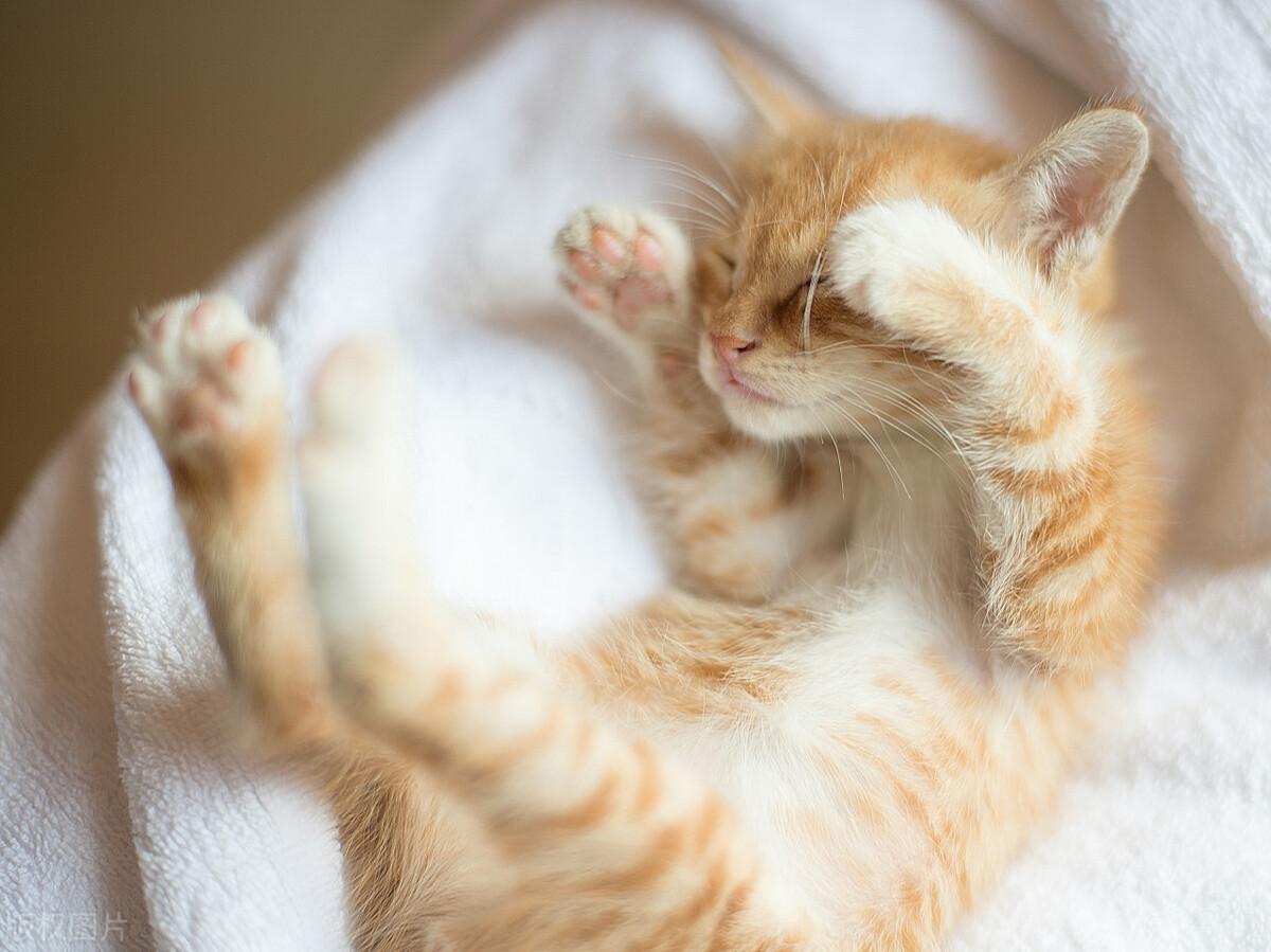 生活应用方面的知识_海水颜色原理_植物生长素