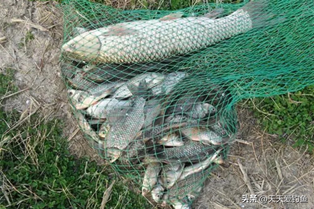 调漂方法大盘点：6种调漂方法，野钓会一两种就够了