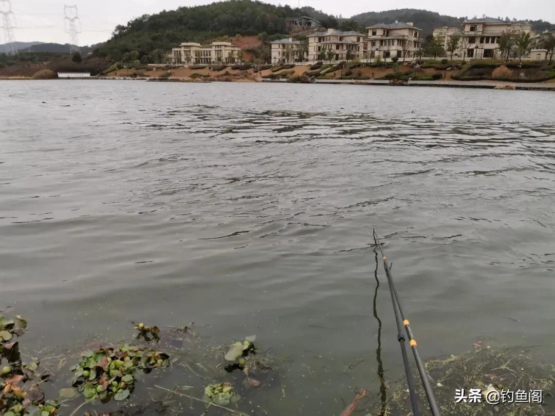 风浪大如何调漂抓口？最简单的方法最有效，就怕你看不上