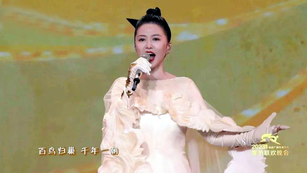 谭某某为什么骂尚雯婕_谭维维四川话事件_谭维维精神状态建议严查