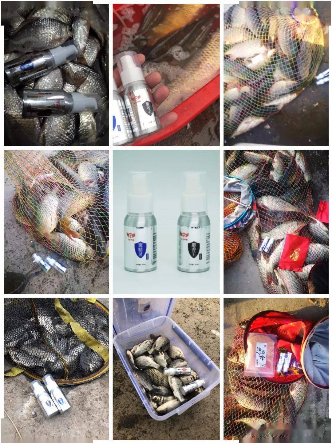 鱼钩挂红虫调漂_钓鱼挂红虫应该怎么调浮漂_钓鱼红虫怎么挂钩图解