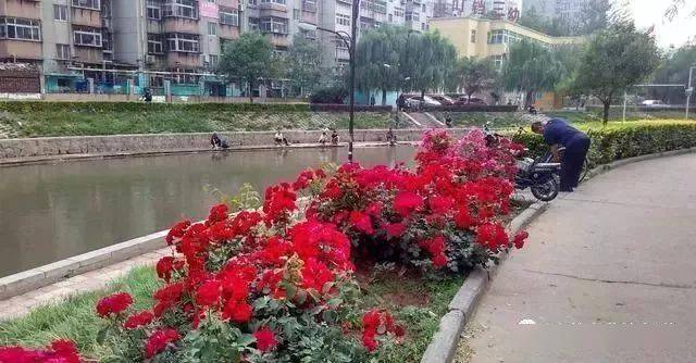 钓鱼挂红虫应该怎么调浮漂_钓鱼红虫怎么挂钩图解_鱼钩挂红虫调漂