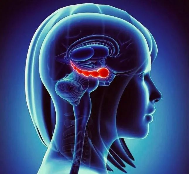 沉迷游戏伤身新闻_沉迷游戏的新闻案例素材_沉迷游戏新闻事件