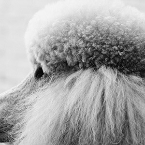 公司上班玩游戏扣钱合法吗_不玩游戏被扣薪水新闻_员工上班玩游戏公司如何处理