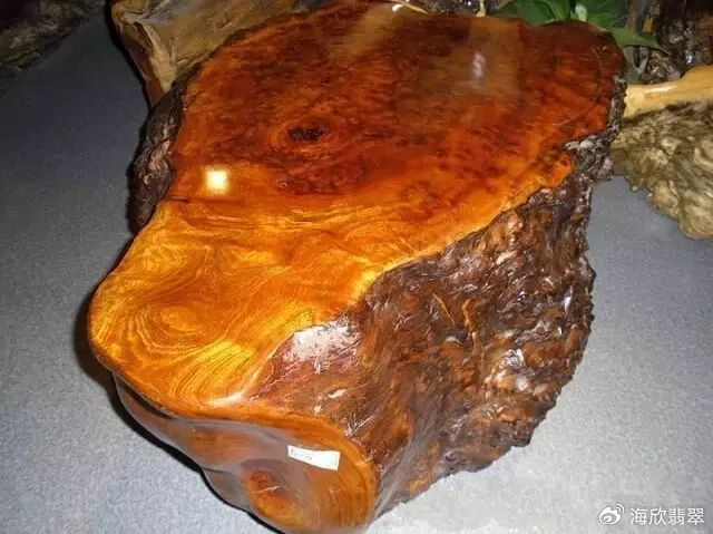 金丝楠老料横切面图片_黄金樟和香樟的区别_黄心楠学名叫普文楠