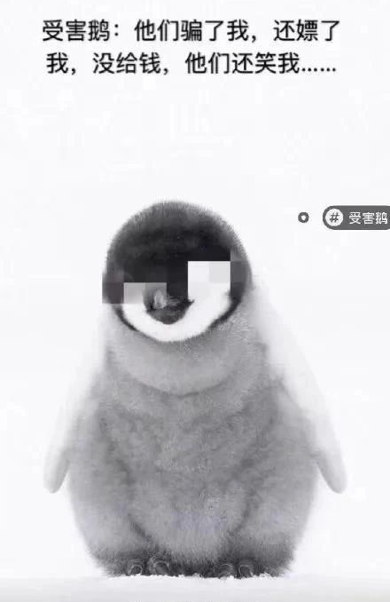 洋葱新闻高清完整版_洋葱娱乐官网_洋葱新闻 腾讯 游戏