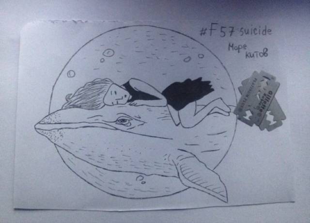 关于前几年有关蓝鲸的游戏视频_有关蓝鲸游戏新闻_关于前几年有关蓝鲸的游戏报道