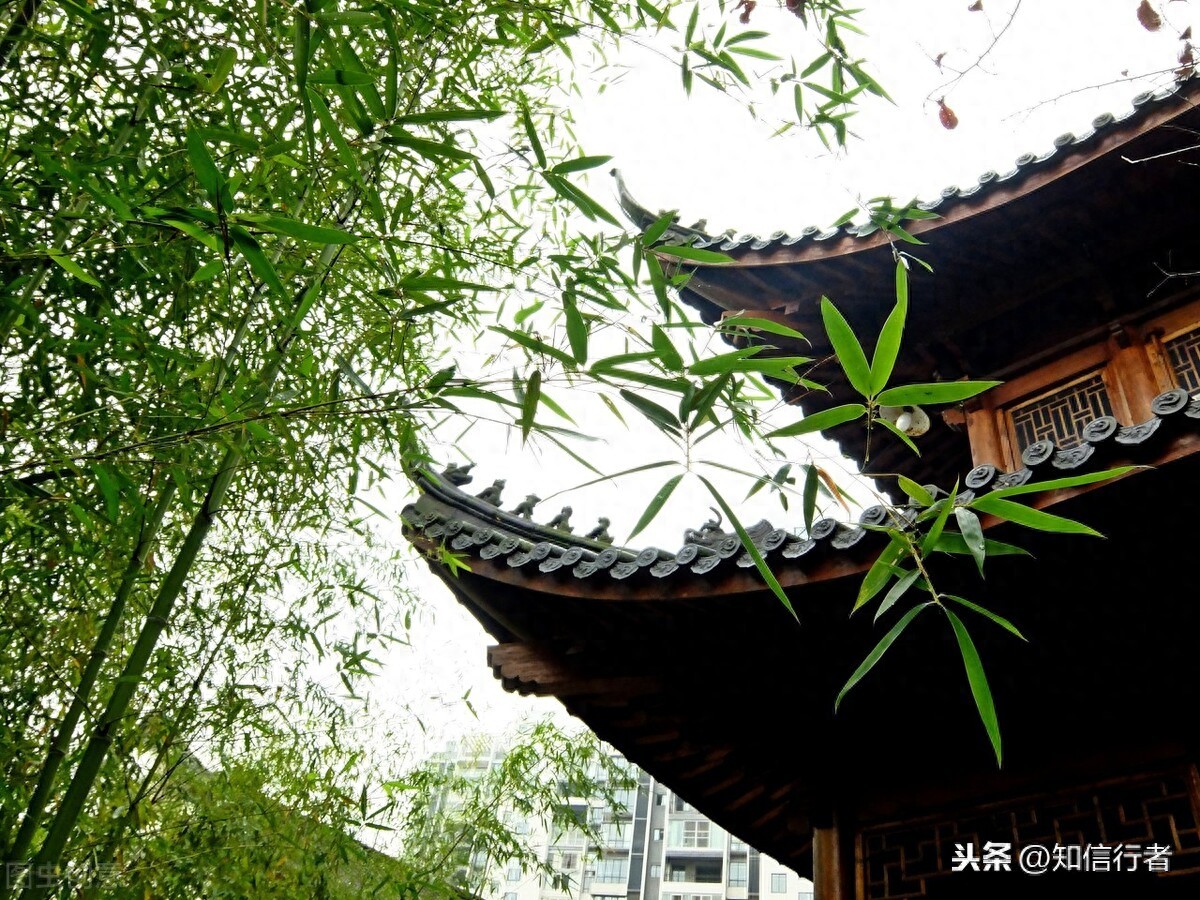 逆向思维：就是逆自己人性，欺骗自己大脑，这个办法太牛了