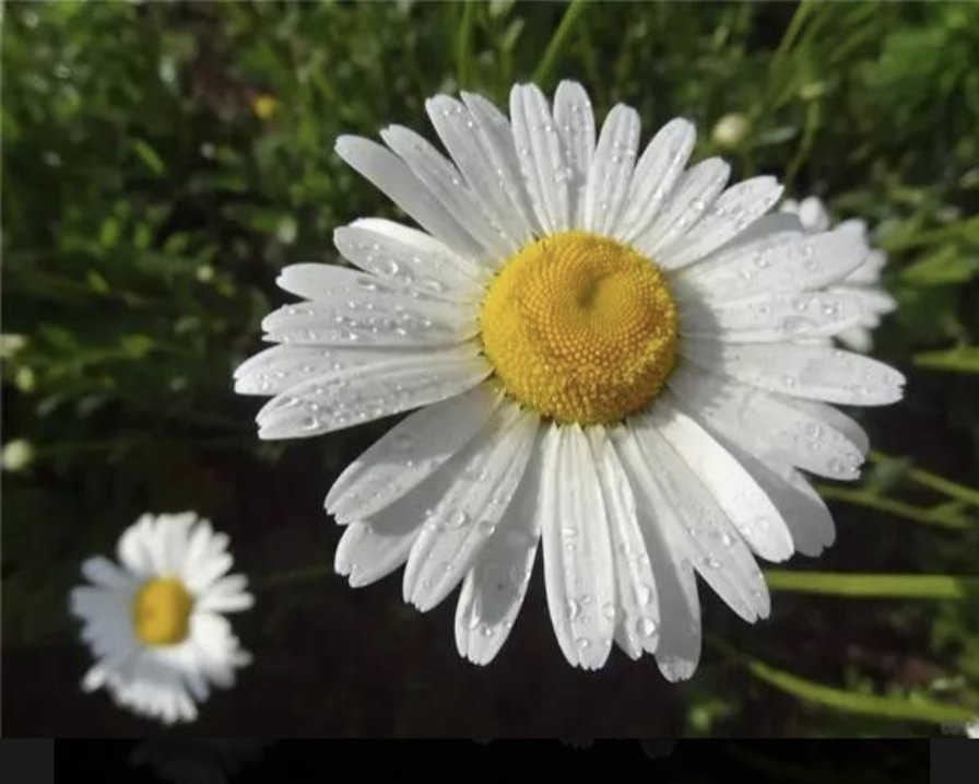 人到晚年靠山可能一推就倒_老死不相往来经典说说_人老了手里最后那张王牌