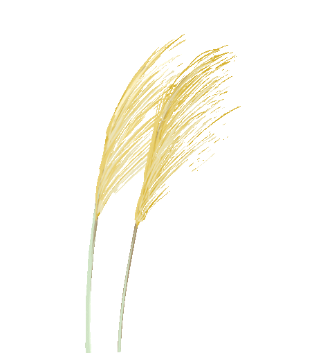 应用定律牛顿生活中的例子_牛顿定律实际应用_牛顿第一定律生活应用