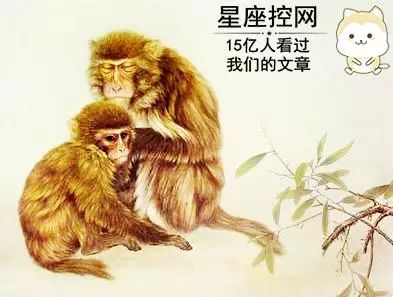 老死不往来的意思_老死不相往来的往来是什么意思_老死不相往来是不爱了