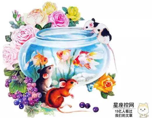 老死不相往来的往来是什么意思_老死不往来的意思_老死不相往来是不爱了