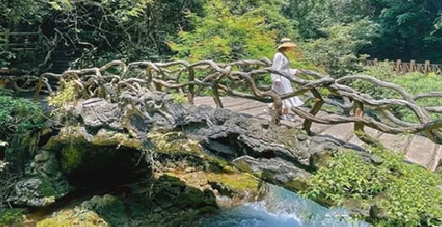 网络改变生活有什么应用_十四五规划对日常生活的影响_数字生活十四五规划改变