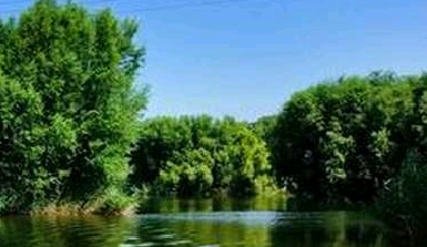 网络改变生活有什么应用_十四五规划对日常生活的影响_数字生活十四五规划改变