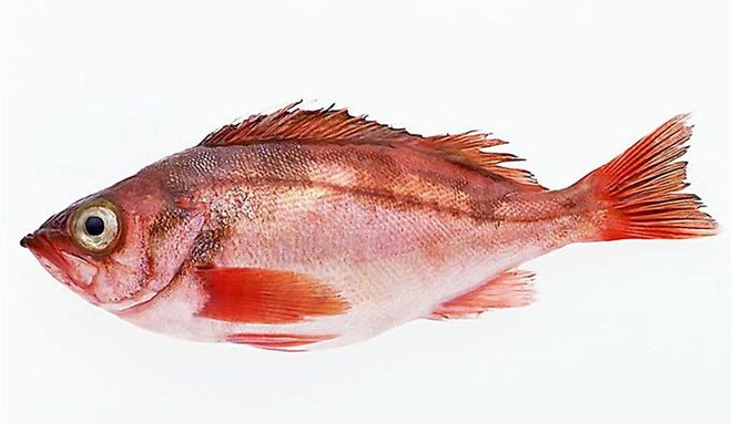 23个生活常识，可以让你学到更多，把日子过得更加美好