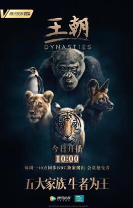 腾讯视频王朝纪录片_腾讯滚动新闻 游戏_BBC Studios动物纪录片