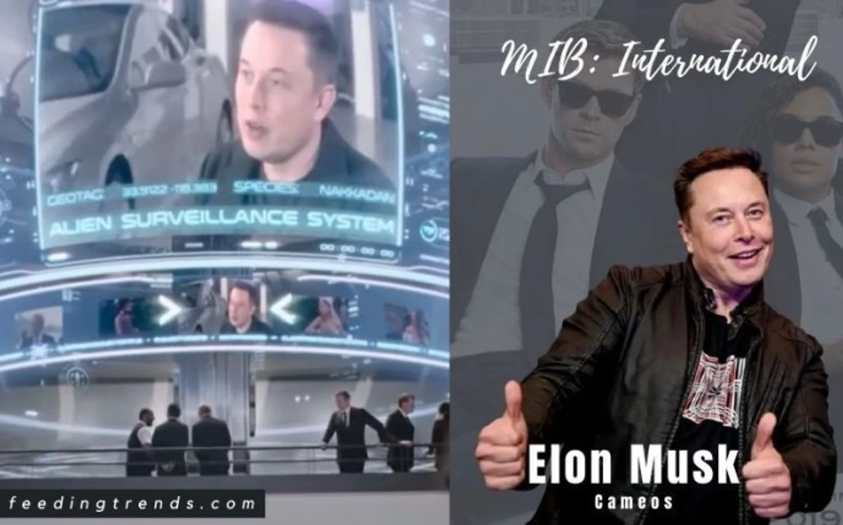 新闻游戏排行榜_头条新闻游戏_游戏 新闻