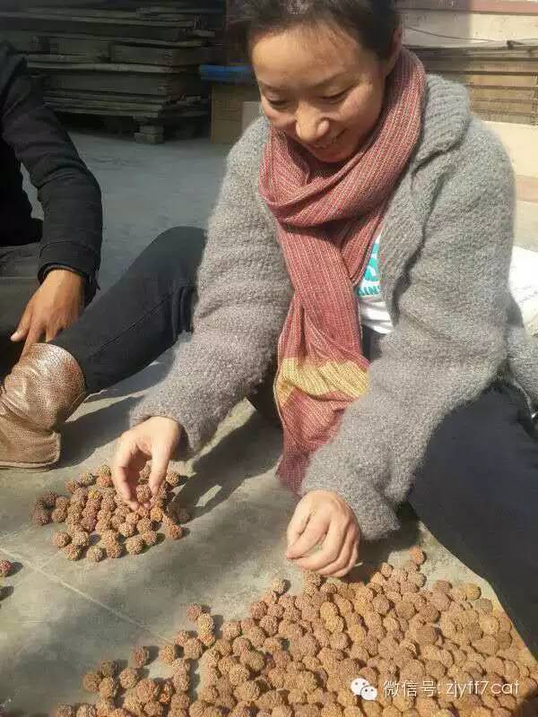 穷游富游争议_旅行体验与价值观_穷游被骗炮细节