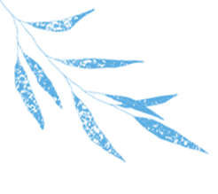 蔡格尼克效应生活应用_蔡可尼克效应_蔡格尼克效应的应用