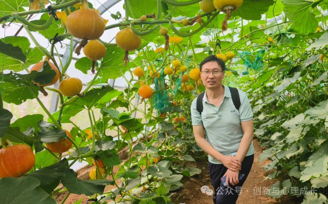 蔡格尼克效应生活应用_蔡家尼克效应_蔡格尼克效应的应用