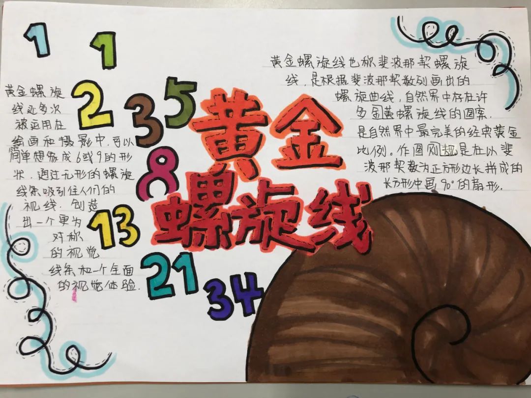 斐波那契数列生活中有哪些应用_斐波那契数列生活中的例子_斐波那契数列生活应用