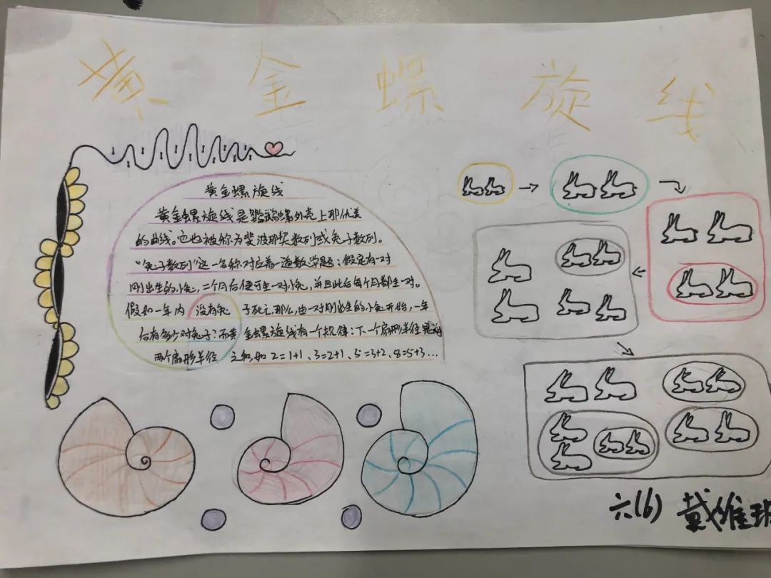 斐波那契数列生活中有哪些应用_斐波那契数列生活中的例子_斐波那契数列生活应用