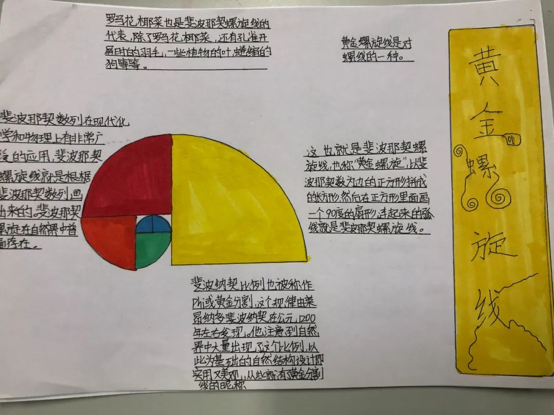 斐波那契数列生活中有哪些应用_斐波那契数列生活中的例子_斐波那契数列生活应用