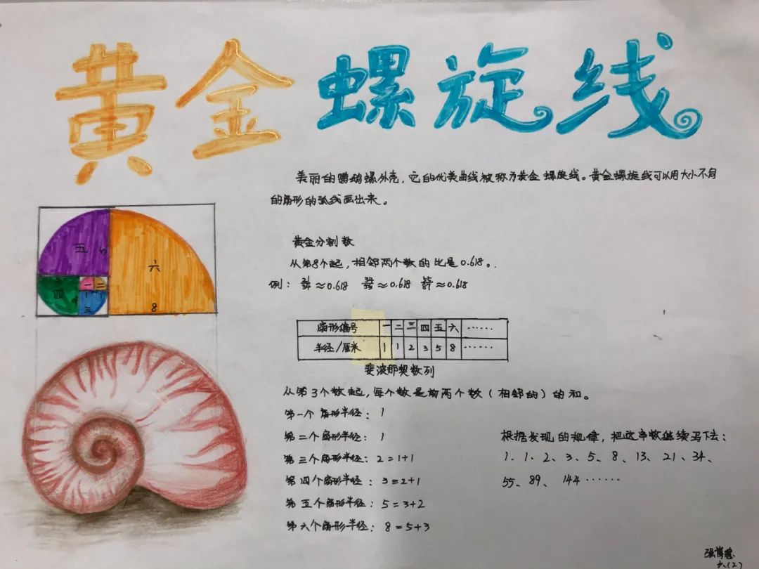 斐波那契数列生活中有哪些应用_斐波那契数列生活中的例子_斐波那契数列生活应用