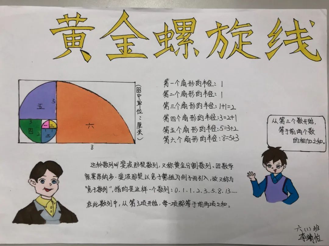 斐波那契数列生活应用_斐波那契数列生活中的例子_斐波那契数列生活中有哪些应用