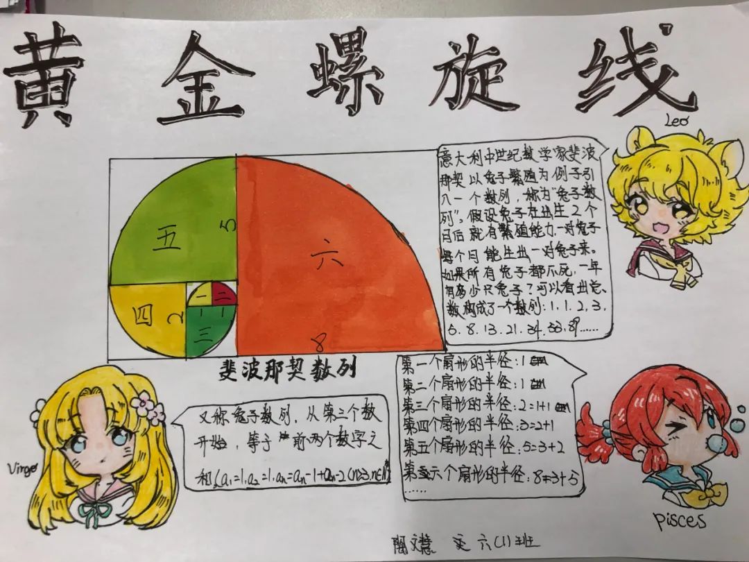 斐波那契数列生活中的例子_斐波那契数列生活中有哪些应用_斐波那契数列生活应用