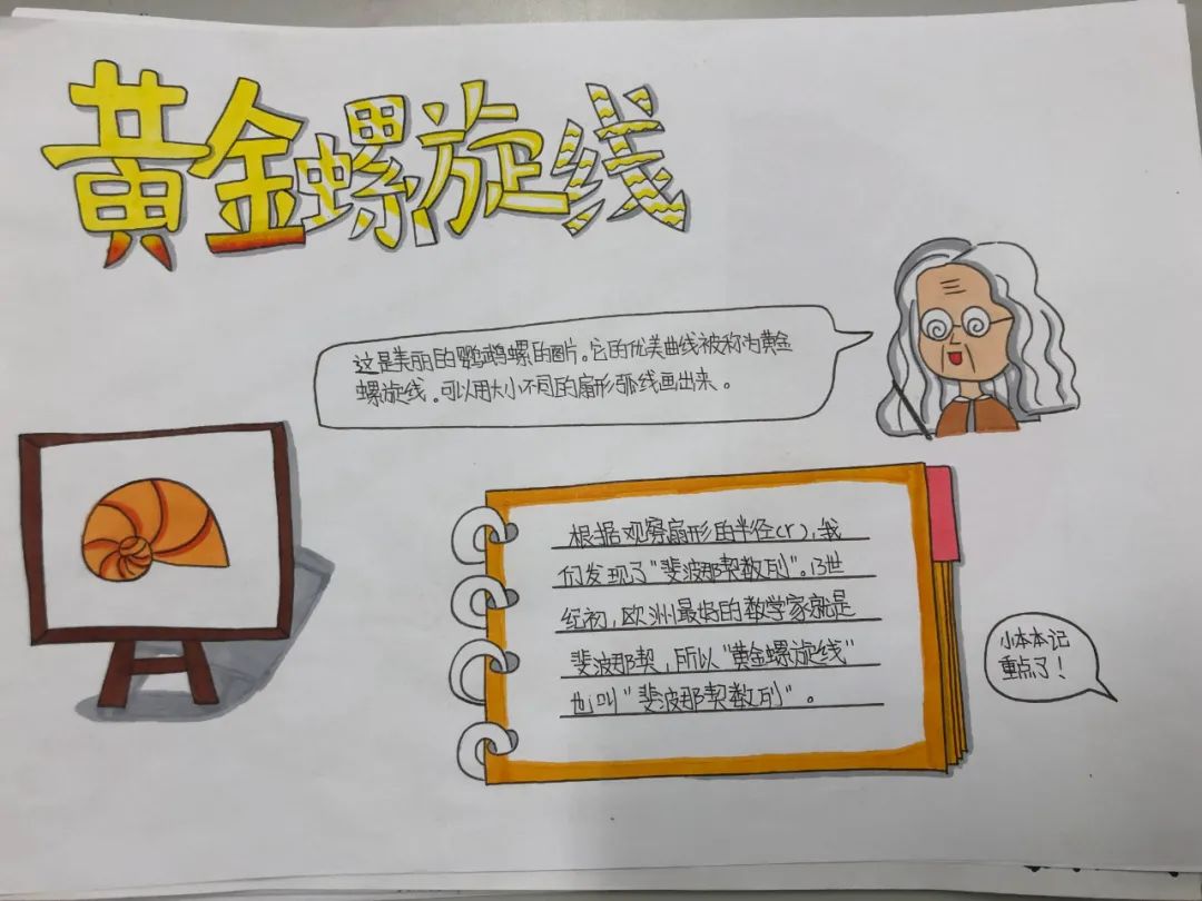 斐波那契数列生活应用_斐波那契数列生活中有哪些应用_斐波那契数列生活中的例子