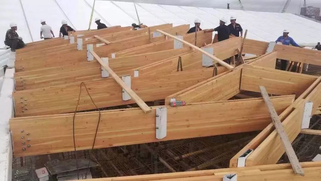 遗传算法的实际应用例子_遗传算法应用案例_遗传算法应用生活实例