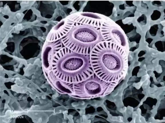 遗传算法应用案例_遗传算法应用生活实例_遗传算法的实际应用例子