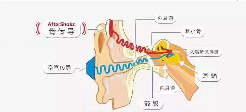 听诊器原理生活应用_骨传导耳机优缺点及用途_骨传导耳机工作原理
