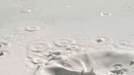 牛顿流体的原理是什么_非牛顿流体生活应用_牛顿流体的运动特性