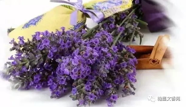 苏轼换角度解决问题_生活逆向思维应用故事_逆向思维解决生活难题