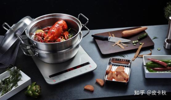 电磁感应加热原理_电磁炉使用注意事项选购指南_电磁炮生活应用