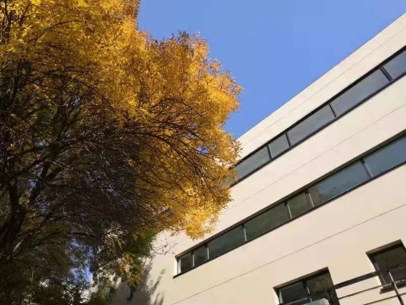 财政零余额往来账_行政事业单位往来资金管理问题_行政事业单位往来资金管理