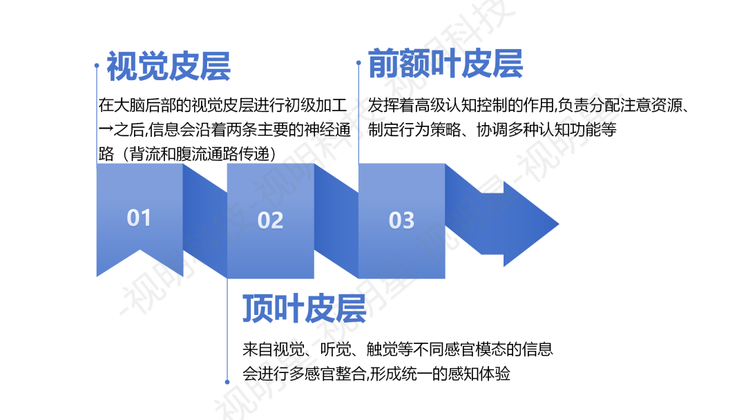 知觉的应用_简述应用知觉的经营策略有哪些_知觉的基本特征 生活应用