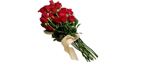 光棍节脱单表白神器推荐