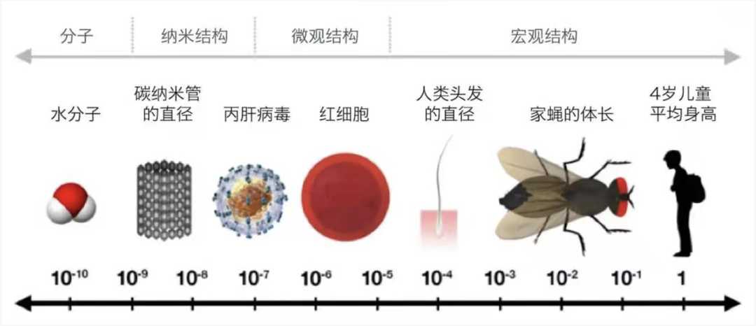 纳米技术日常生活应用_纳米技术应用于生活的情景_纳米技术生活应用