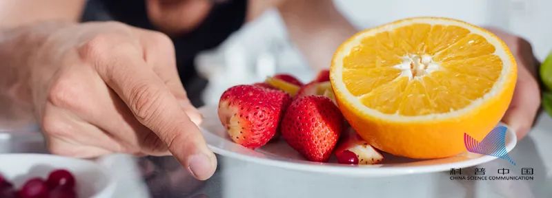 常见的家里小虫子图片_果蝇如何防治_蛾蠓的来源和消灭方法