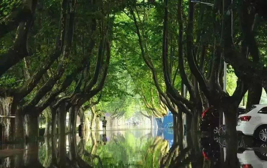 数学成绩好专业选择_数学应用生活_物理成绩好专业选择